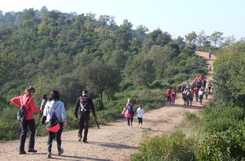 La Marxa Popular fa un recorregut per pistes i camins del Parc de la Serralada Litoral