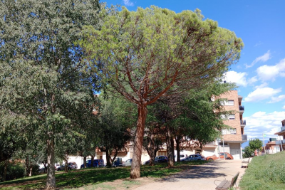 La plaça de les Feixes és una de les zones on s'hi farà l'actuació.