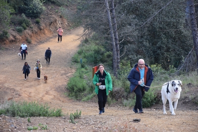 Participants en la caminada del Canicross Montornès.