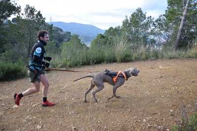 Participants en la cursa del Canicross Montornès.