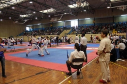 Un moment del Campionat de Catalunya de karate Cadet, Junior i Sub21 (octubre 2013)