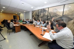 Moment de la votació al Ple del 6 de març