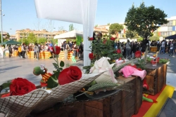 Sant Jordi 2014, a la plaça de Pau Picasso