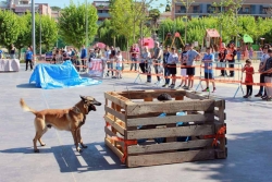 Exhibició de la Unitat Canina de Protecció Civil de Montornès (Maig de 2014)