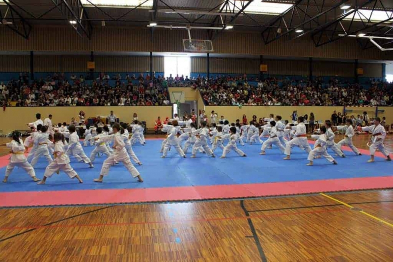 Una de les actuacions del Club Karate Montornès (Imatge d'arxiu)