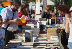 Paredes de llibres