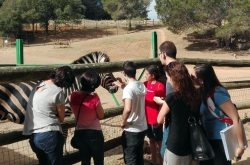 El grup de joves del projecte Endavant Jove a Can Sala