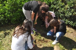 Plantació de plantes a l'Institut Vinyes Velles