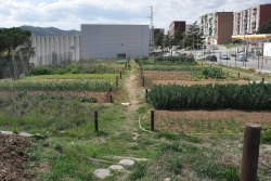 Horts socials i ecològics a l'avinguda del Riu Mogent