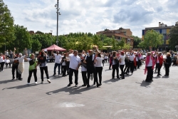 Exhibició de flamenc.