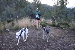 Participants en la cursa del Canicross Montornès.