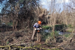 Treballs de restauració ambiental al Bosc de Santa Caterina (imatge: APF Montnegre - Corredor).