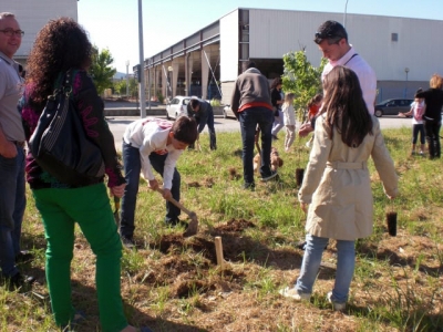 Treballadors i familiars de l'empresa Sumitomo Bakelite plantant arbres a una vora del camí