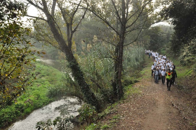 Caminada saludable per la llera del Mogent