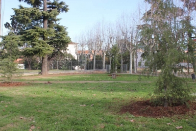 Arbres plantats a la zona de Manso Calders