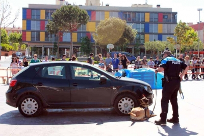 Exhibició dels agents de la Unitat Canina de la Policia Local de Lloret