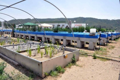 L'Urban River Lab a la Depuradora de Montornès