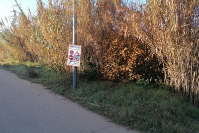 Treballs de retirada de la canya americana a la llera del riu Mogent.