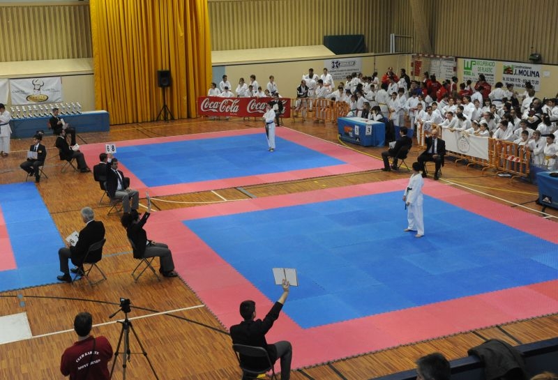 26-11-2011 - XVIè Torneig de Karate