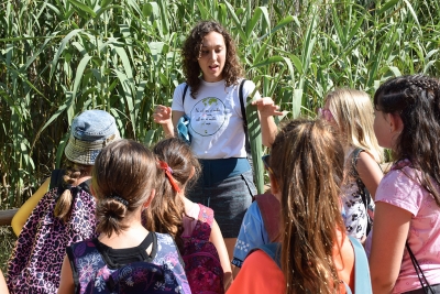 Els nens i nenes han identificat plantes invasores com la canya.