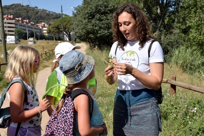 Entre les plantes que han identificat n'hi ha de comestibles i aromàtiques.