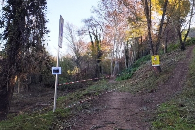 Treballs de restauració ambiental al Bosc de Santa Caterina (imatge: APF Montnegre - Corredor).