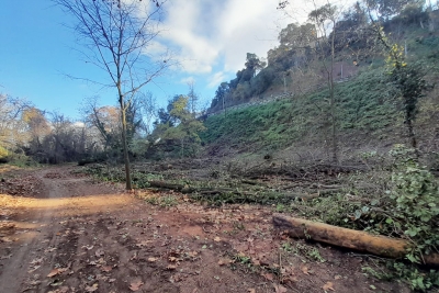 Treballs de restauració ambiental al Bosc de Santa Caterina.