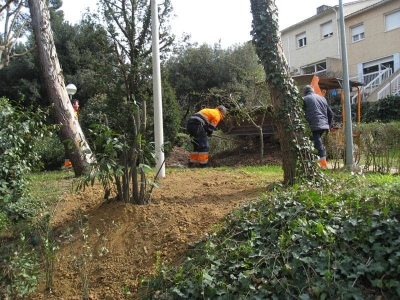 Treballs de recuperació de la vegetació